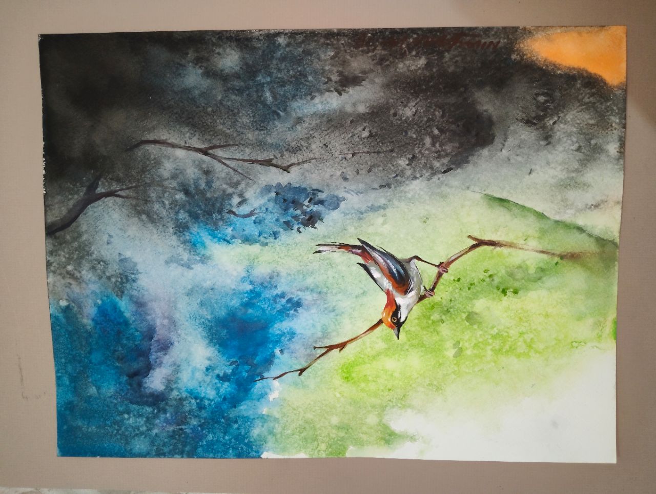 Watercolor Bird Art