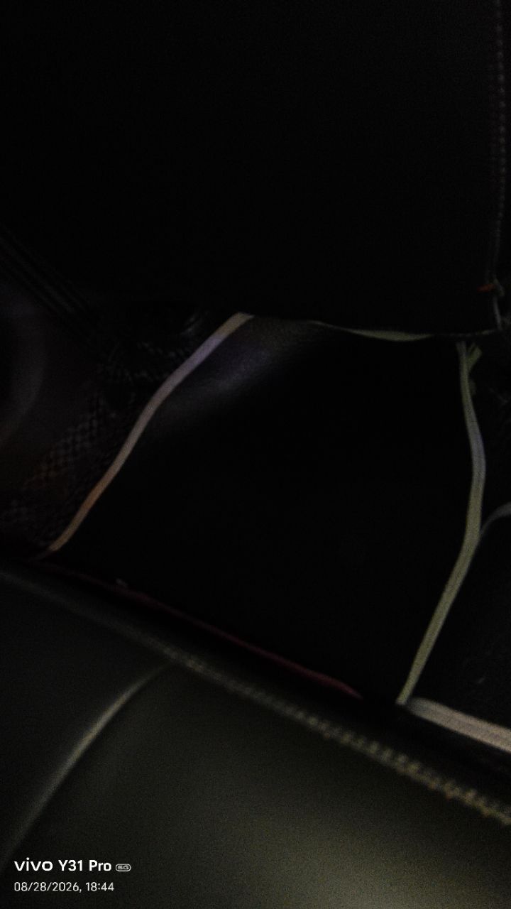 Premium Car Floor Mat view 2