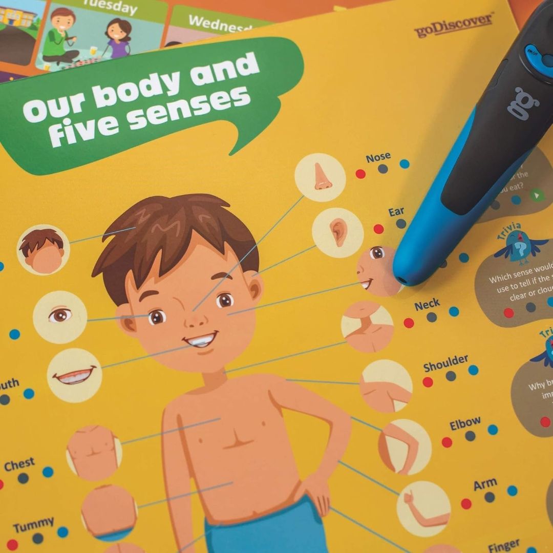 goDiscover Kinder Smart Interactive Learning Series with Talking Pen | Set of 18 Multi Sensorial Educational Posters for Preschool Kids Age 3 to 6 Years with Words Sounds Facts and Interactions
Product Images and Videos (AI-Generated Alt Text) view 9