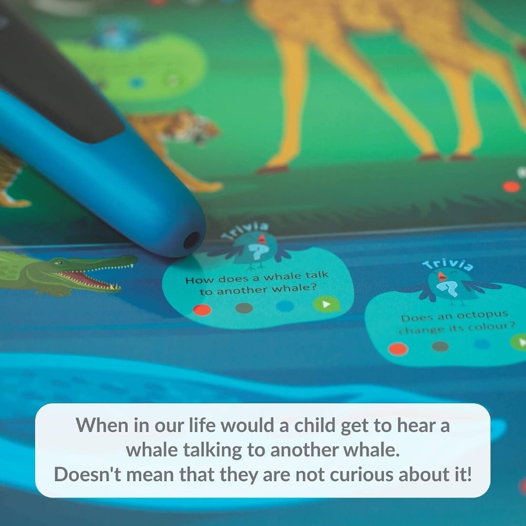 goDiscover Kinder Smart Interactive Learning Series with Talking Pen | Set of 18 Multi Sensorial Educational Posters for Preschool Kids Age 3 to 6 Years with Words Sounds Facts and Interactions
Product Images and Videos (AI-Generated Alt Text) view 7