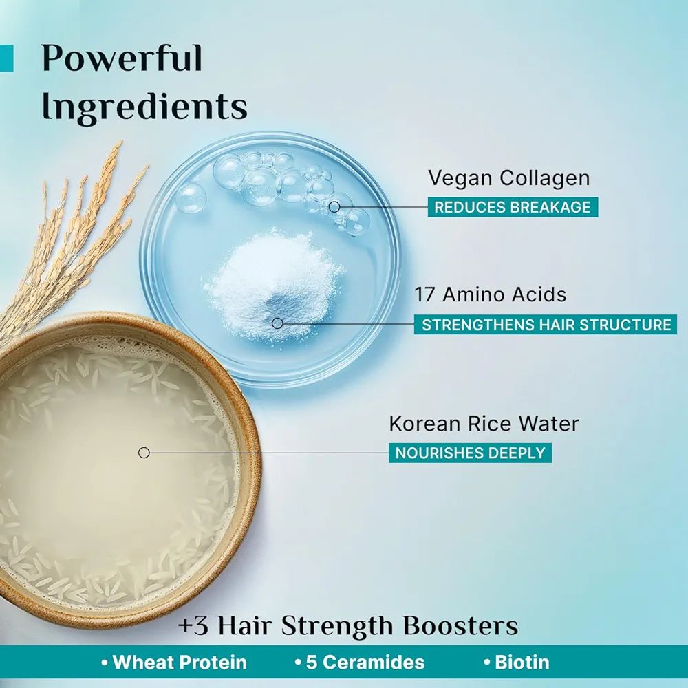 Pilgrim Korean Rice Water & Collagen Advanced Damage Repair Shampoo - 200ml
92% Less Breakage, Up to 20X Softer Hair, with 17 Amino Acids, Wheat Protein & 5 Ceramides, For Dry & Chemically Treated Hair view 4
