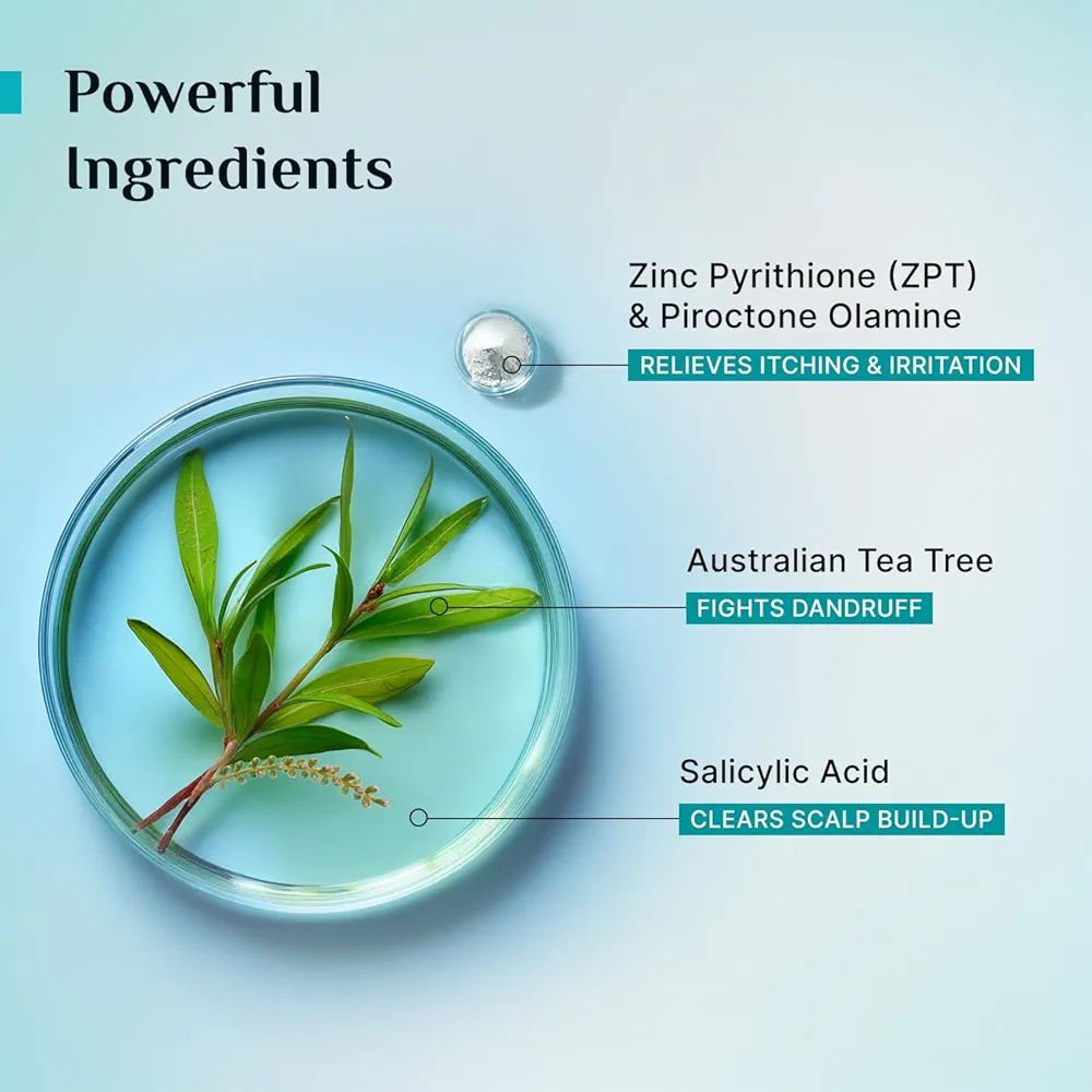 Pilgrim Australian Tea Tree Anti-Dandruff Unscented Conditioner For All Hair Type | Smoothens Strands & Detangles Hair | Fights and Prevents Dandruff | For Men & Women view 4