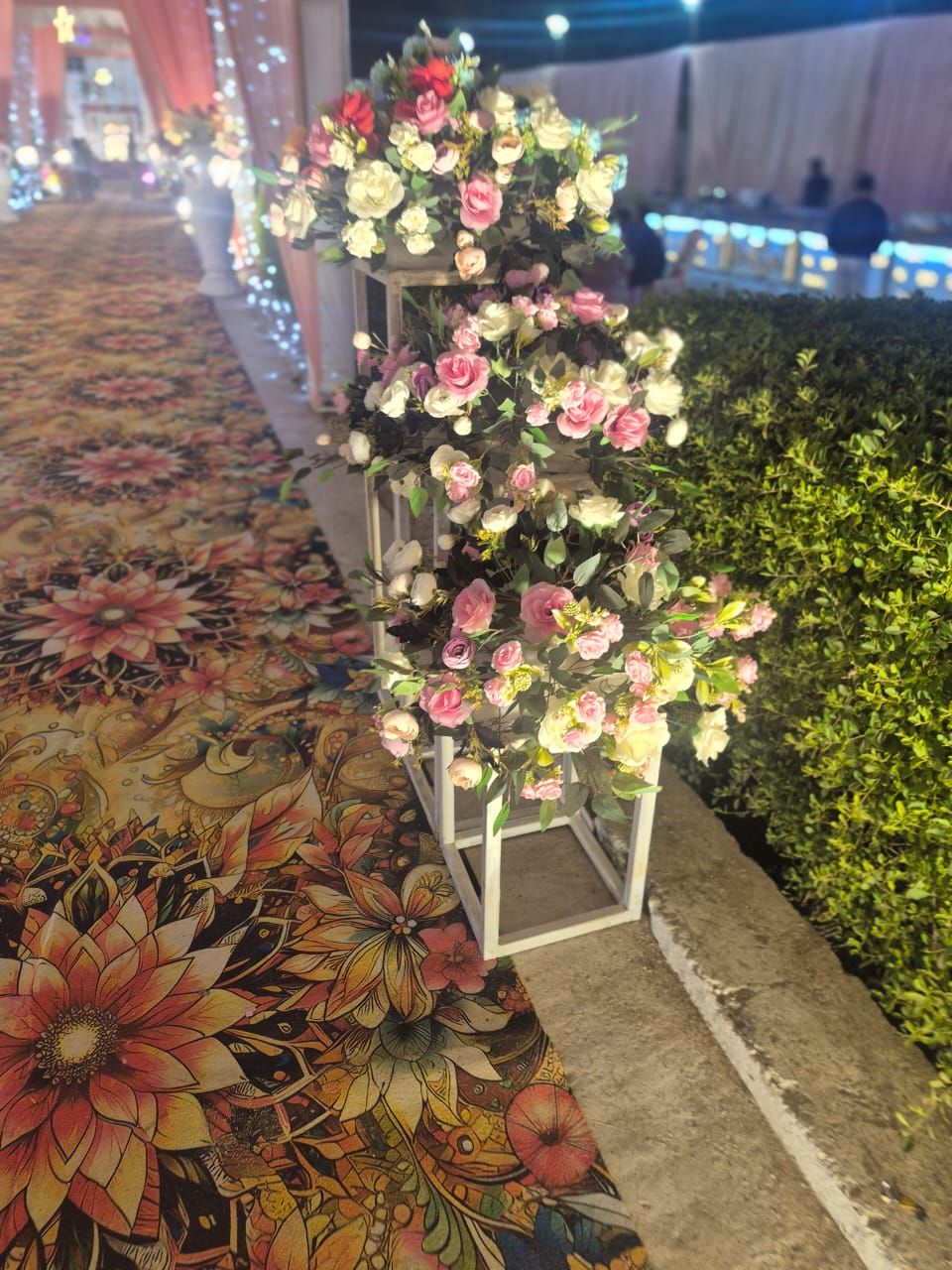 Mishra Marriege Lawn view 2