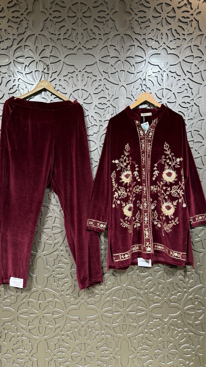 Embroidered Velvet Suit Set view 3