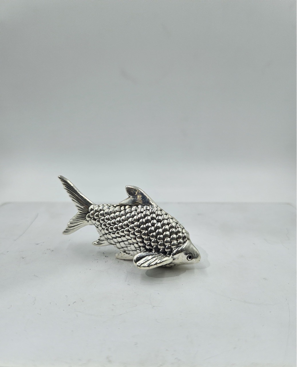 Silver Fish 999 view 2