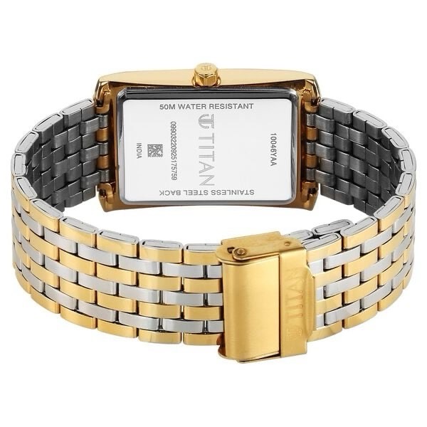 Titan Elegant Gold & Silver Watch 10046BM03 view 5