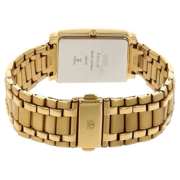 Titan Mens Watch NT150M01 view 5