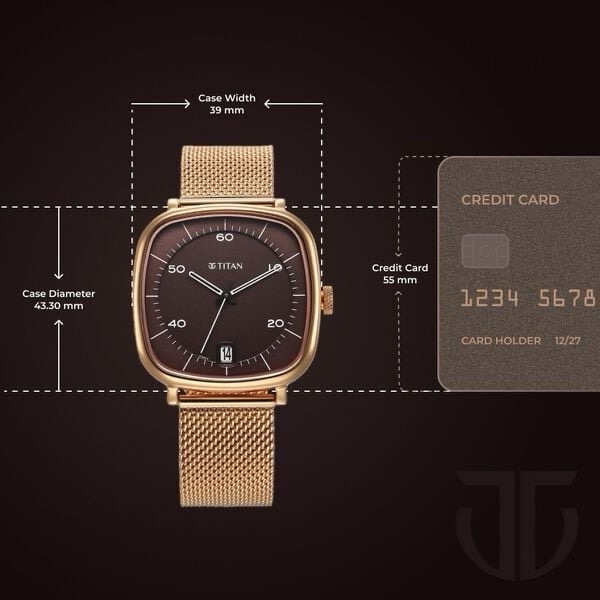 Titan Raga Gold Mesh Watch 1885WM01 view 3