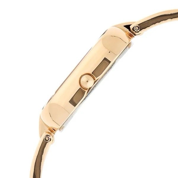 Titan Raga Womens Watch 2577WM01 view 3