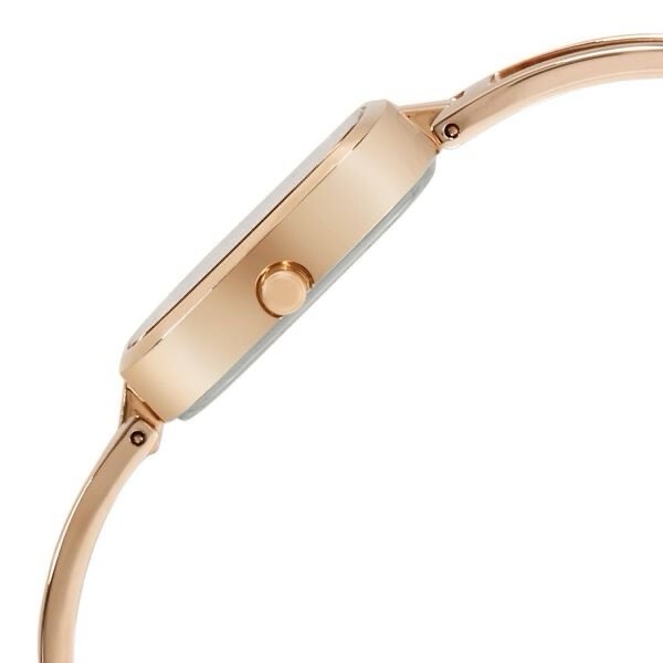Titan Raga Womens Watch 2604WM01 view 4
