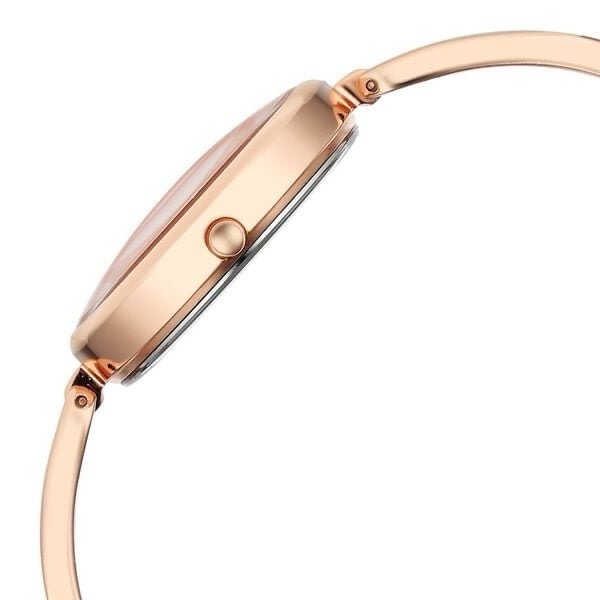Titan Raga Womens Watch view 3