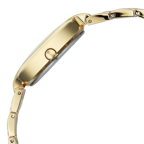Titan Raga Womens Watch 95346ym01 view 3