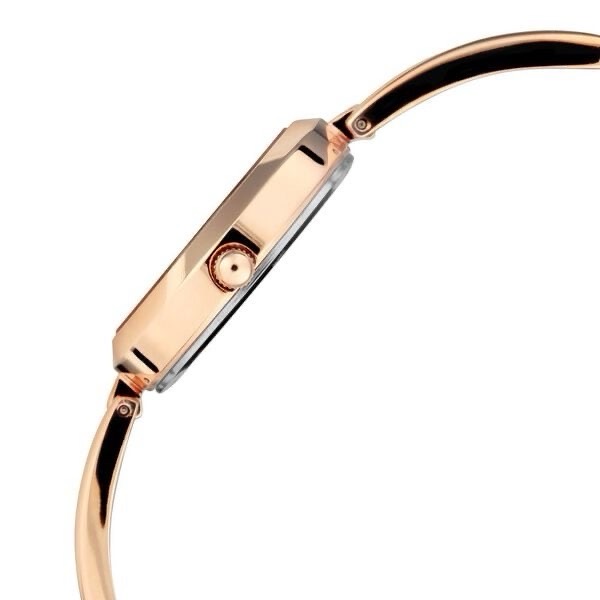 Titan Raga Women’s Watch 2606wm05 view 3