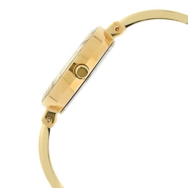 Titan Raga Womens Watch 2575ym01 view 3