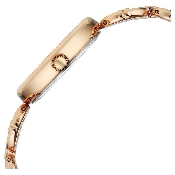Titan Raga Womens Watch 95353wm01 view 3
