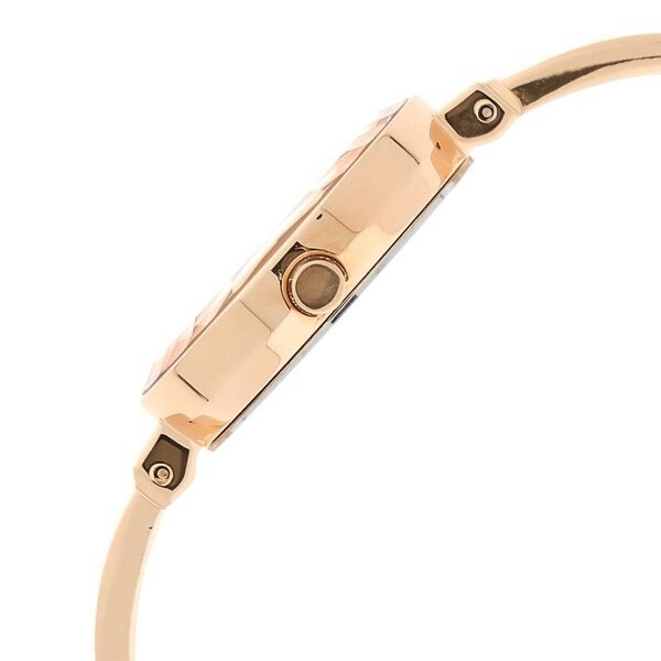 Raga Titan Womens Watch 2575wm01 view 3
