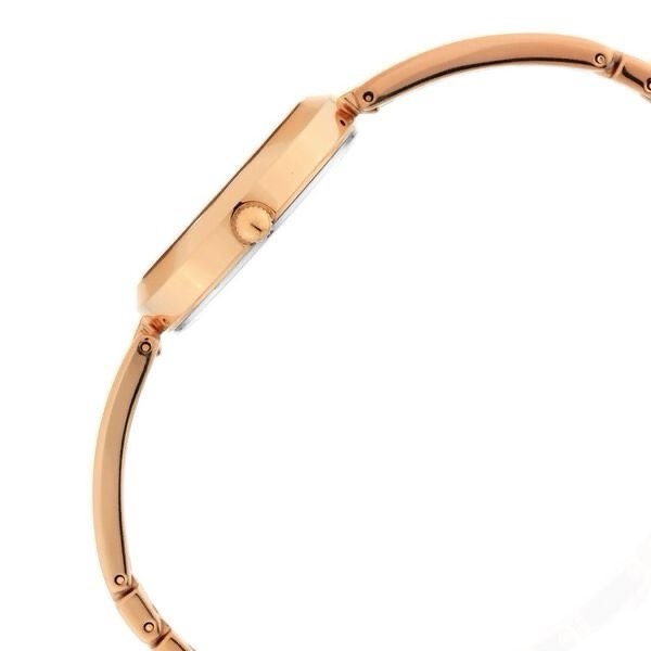 Titan Raga Womens Watch 2606WM07 view 3