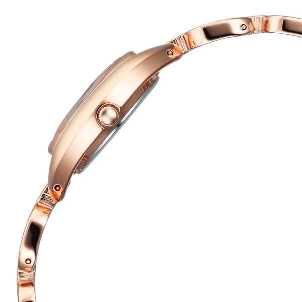 Titan Raga Womens Watch 95306wm01 view 4