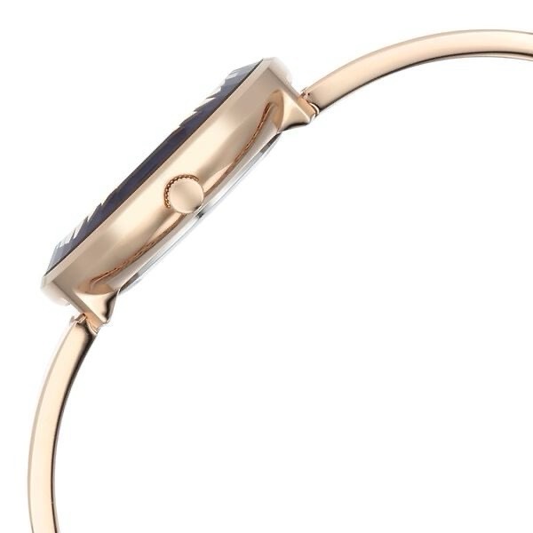 Titan Raga Plum Watch 95276WM01 view 3