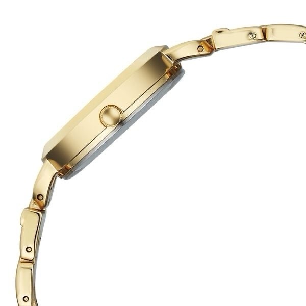 Titan Raga Womens Watch 95349YM01 view 3