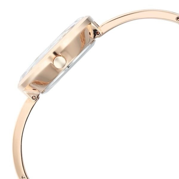 Titan Raga Plum Dial Watch 9527WM01 view 4