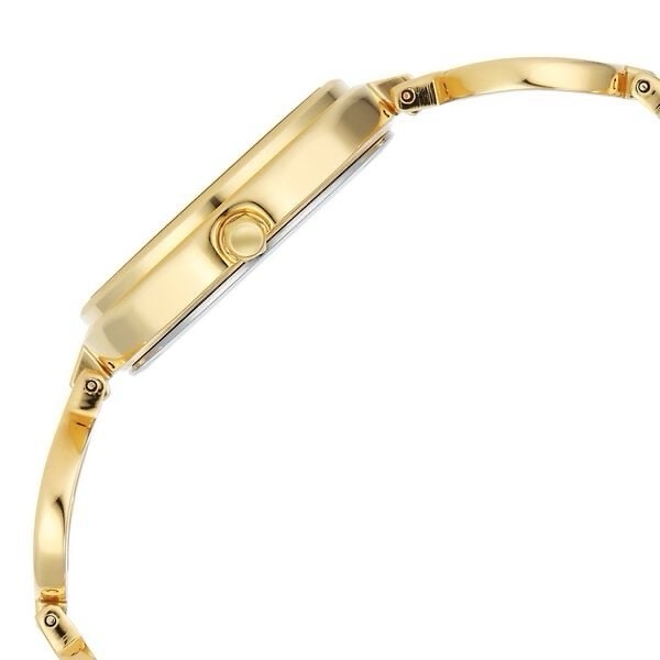 Titan Raga Women’s Watch 2685YM01 view 3