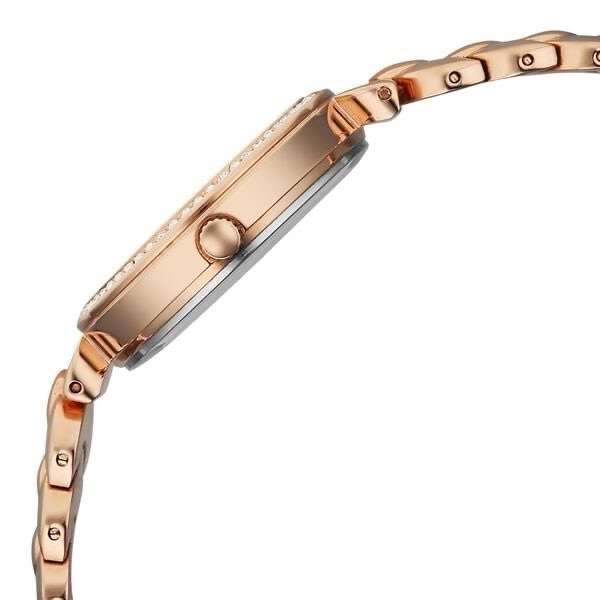 Titan Raga Womens Watch 95357WM01 view 3