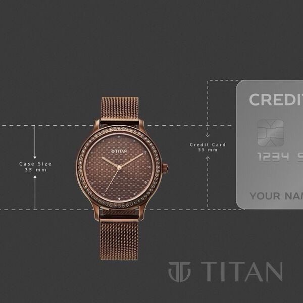 Titan Womens Mesh Watch 2634QM03 view 3