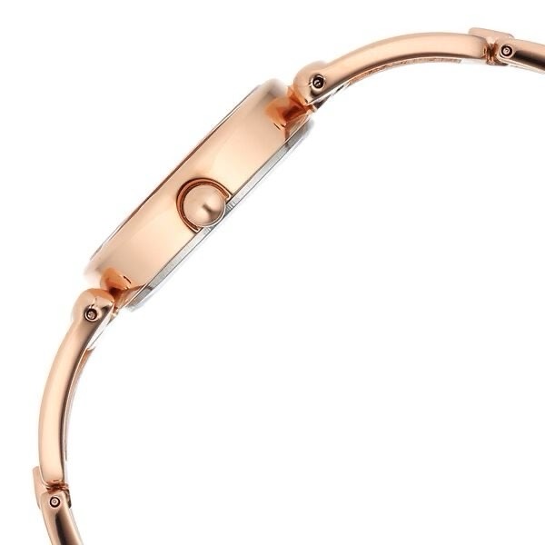 Titan Raga Womens Watch 2748WM01 view 3