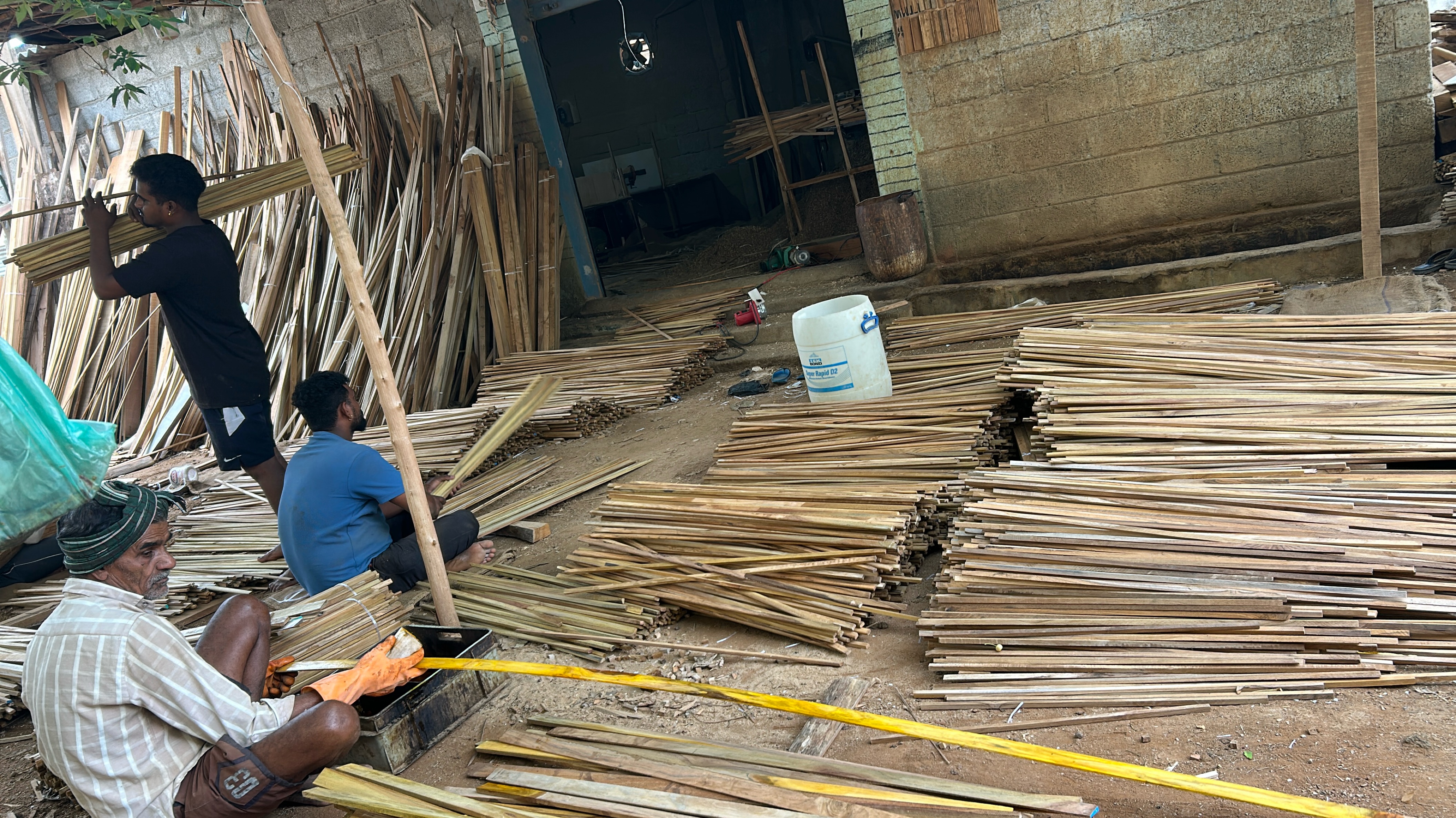 Bamboo Sticks view 2