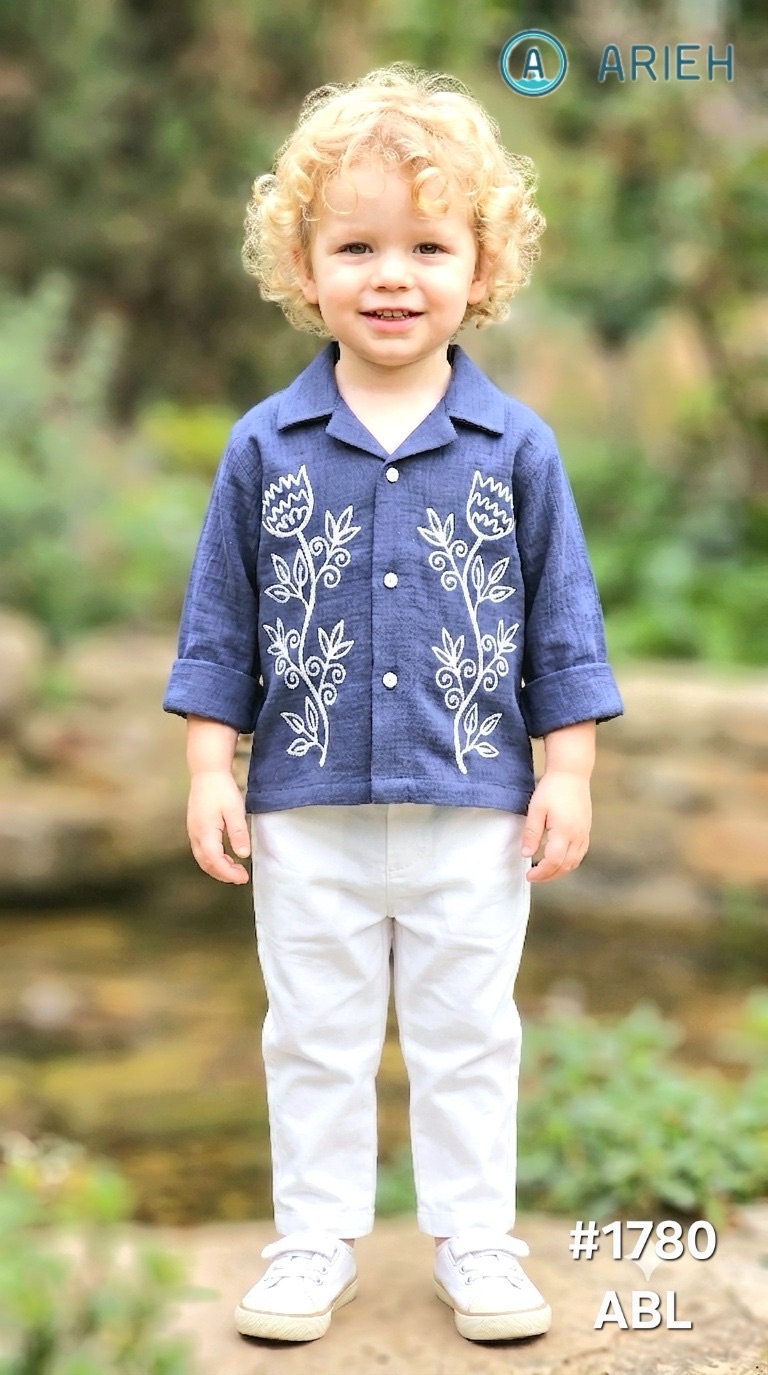 Arieh Boys Embroidered Shirt view 2