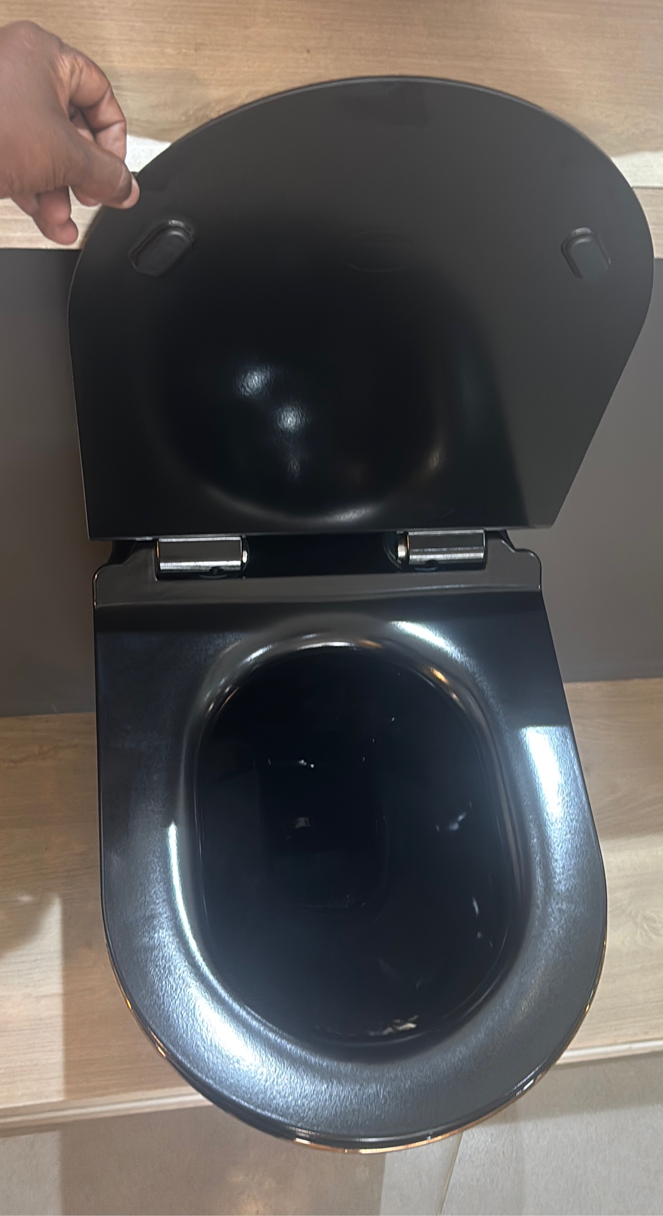 Sleek Black Toilet view 2