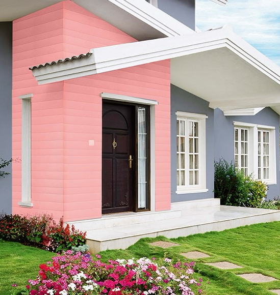 Premium Exterior Paints