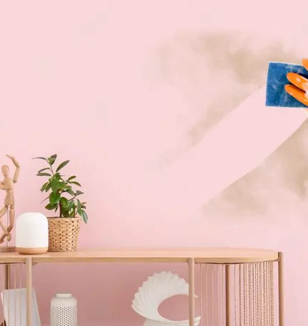 Premium Interior Paints
