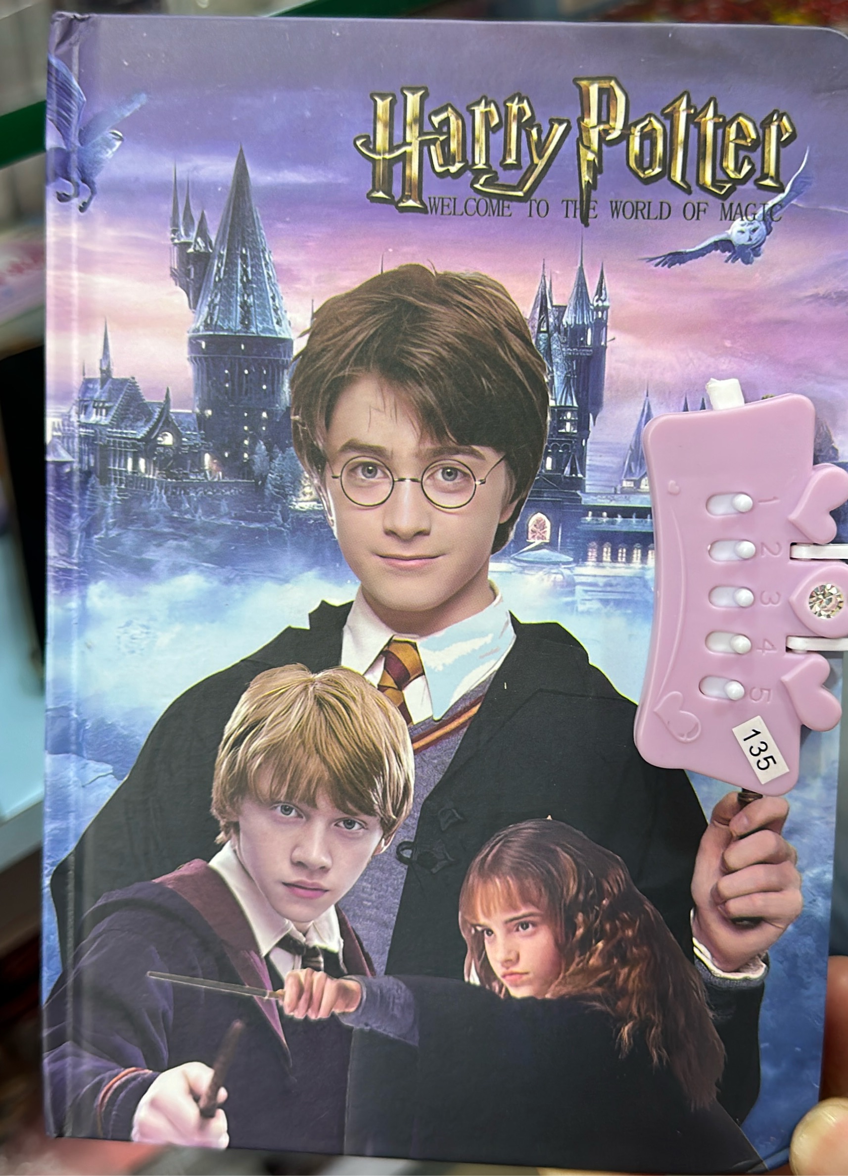 Harry Potter Dairy view 2
