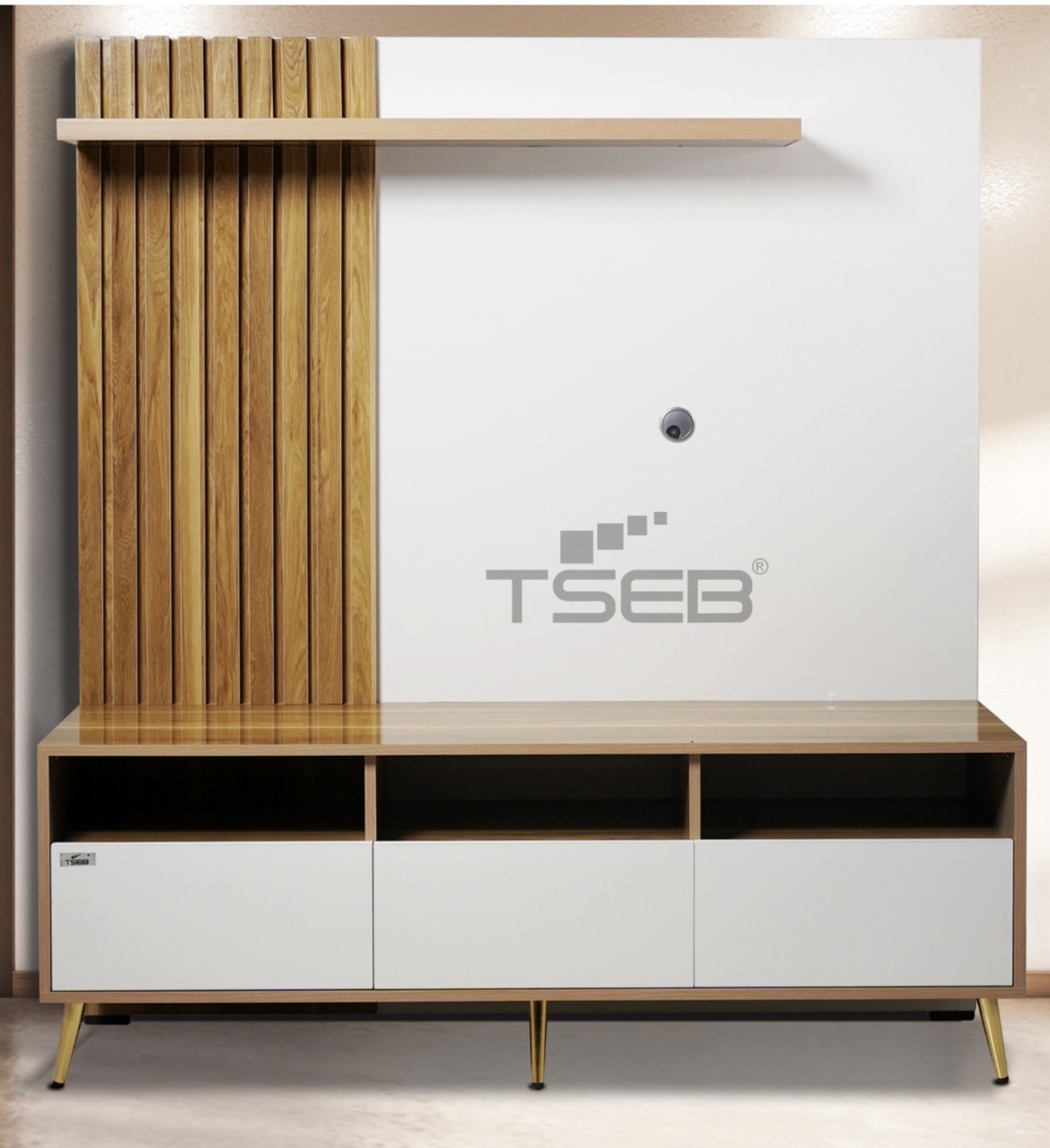 TSEB Entertainment Console view 2