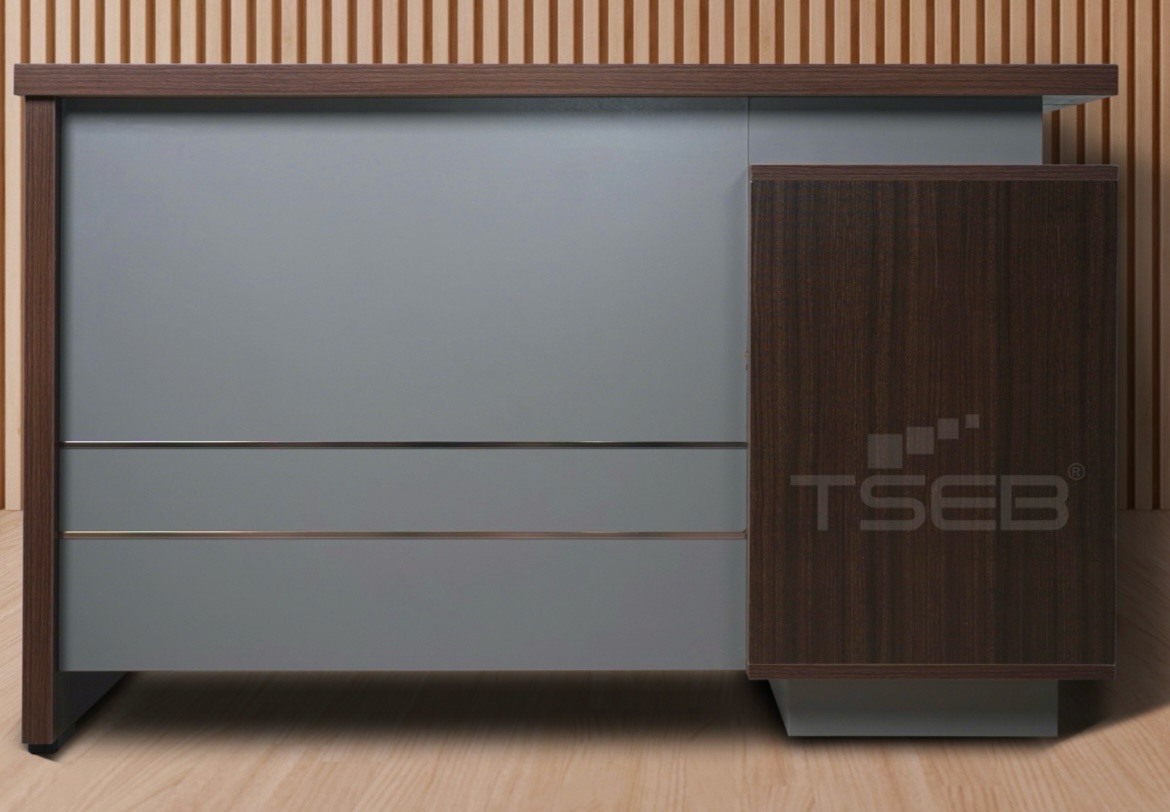 TSEB Executive Desk 5x2.5 view 2