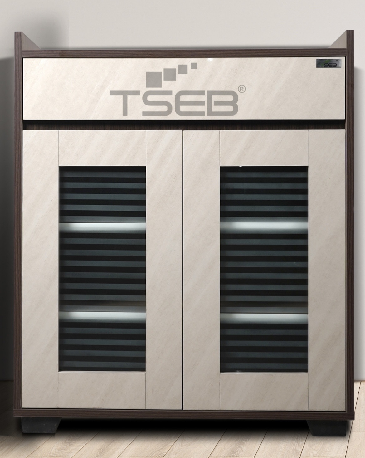 TSEB Storage Cabinet3x2.5 view 2