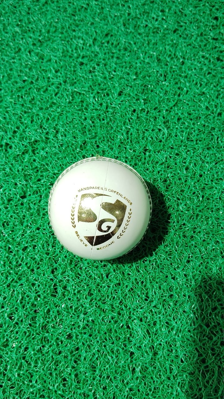 SG Super 50 white Cricket Ball view 2