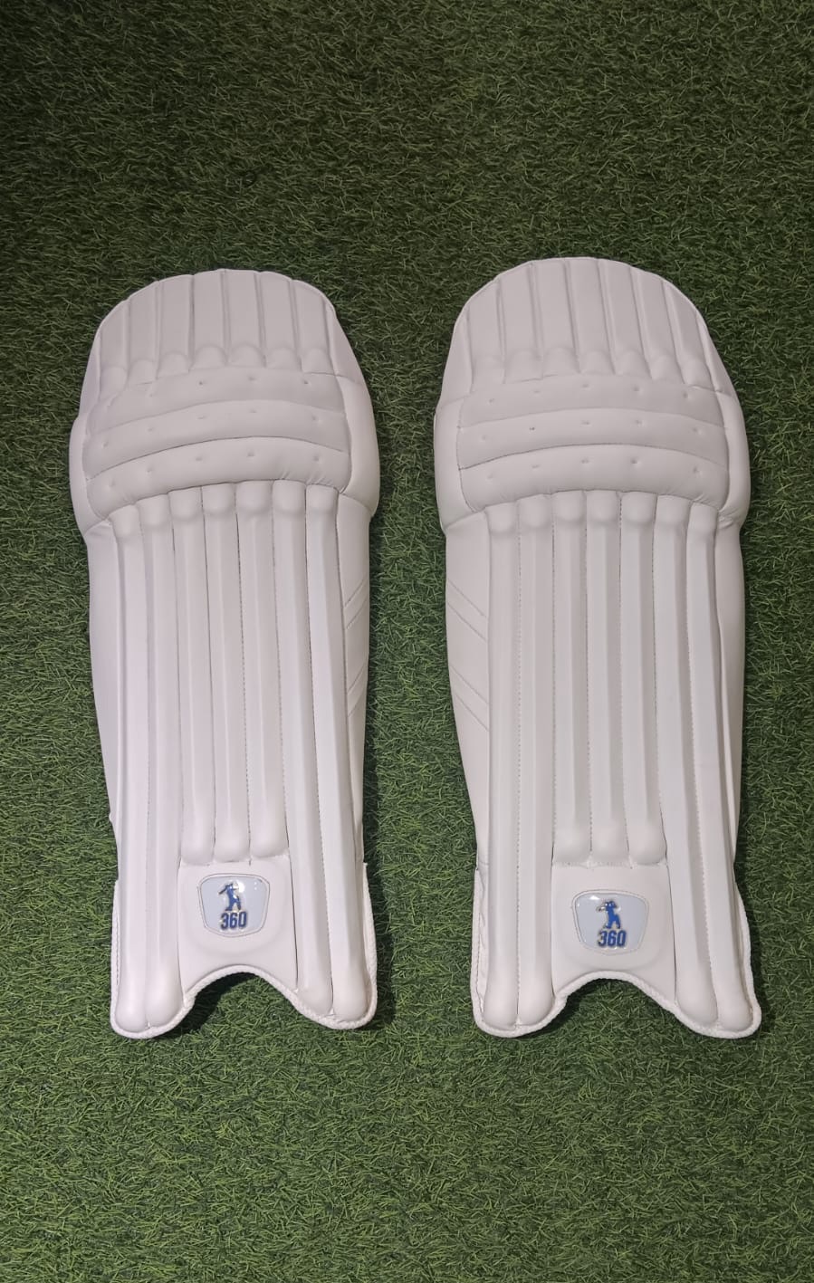 EM 360 Cricket Leg Guards view 2