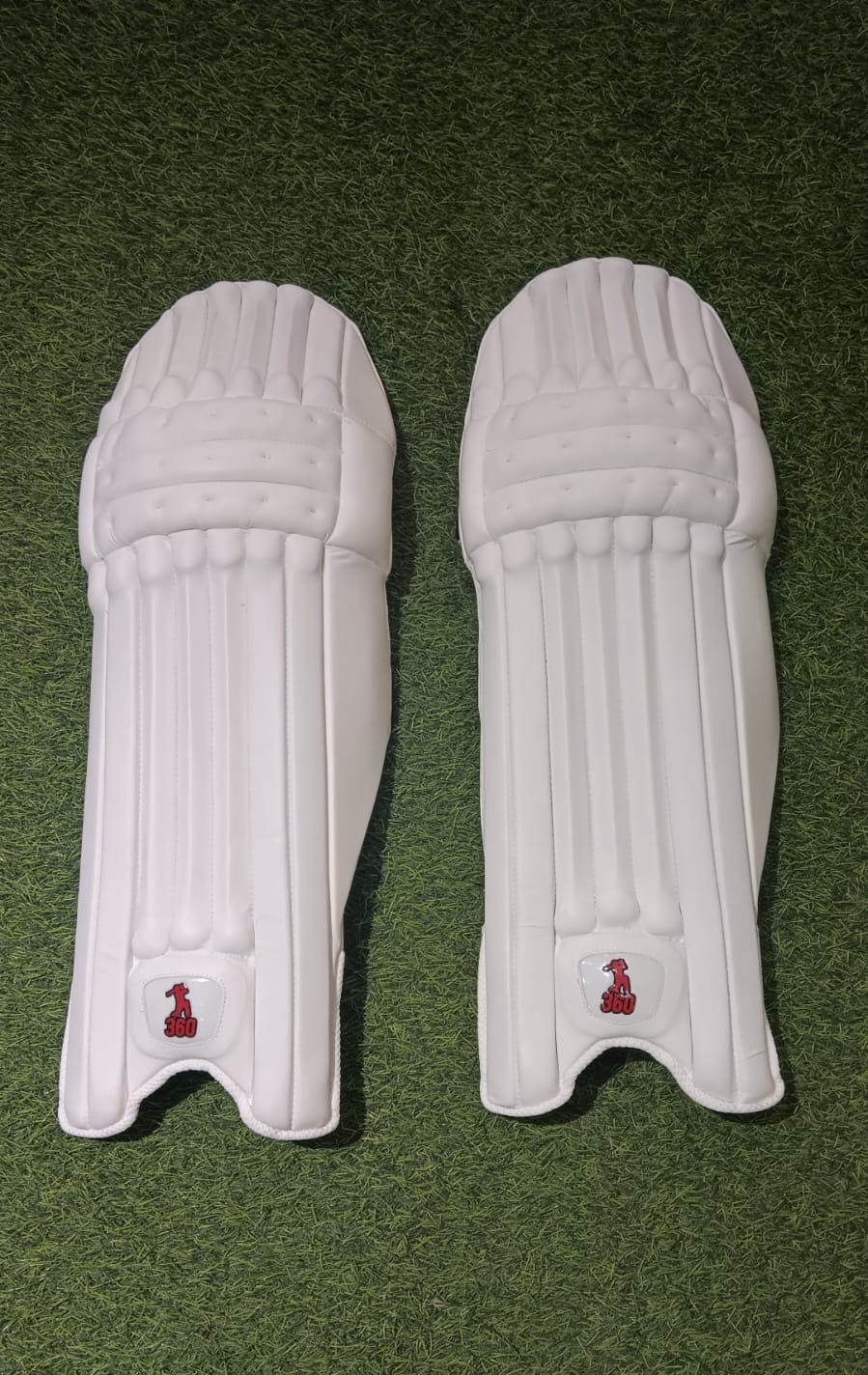 EM 360 Cricket Pads view 2