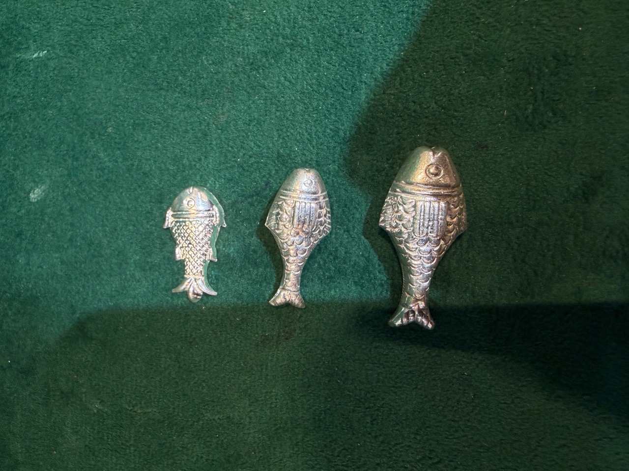 Silver Fish view 3
