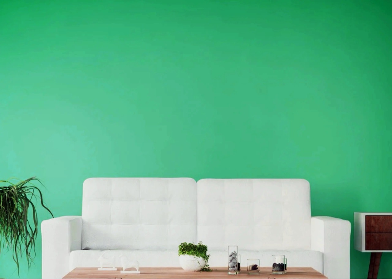 BP White Primer view 2