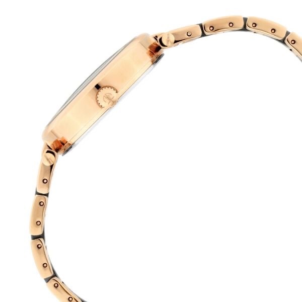 Titan Raga Womens Watch 2569WM01 view 3
