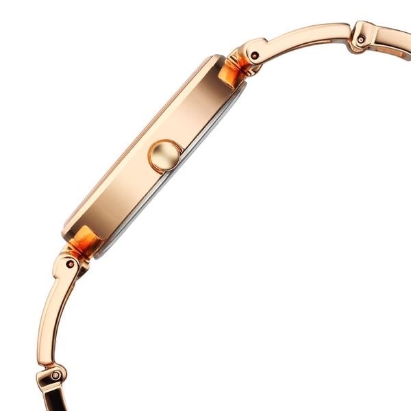 Titan Raga Women’s Watch 2747WM01 view 3