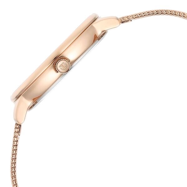 Titan Raga Womens Watch 95238WM01 view 3