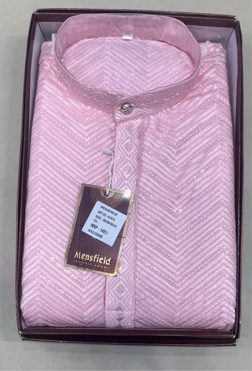 Ethnic Kurta Pajama HAVY SIPLI-5 view 2