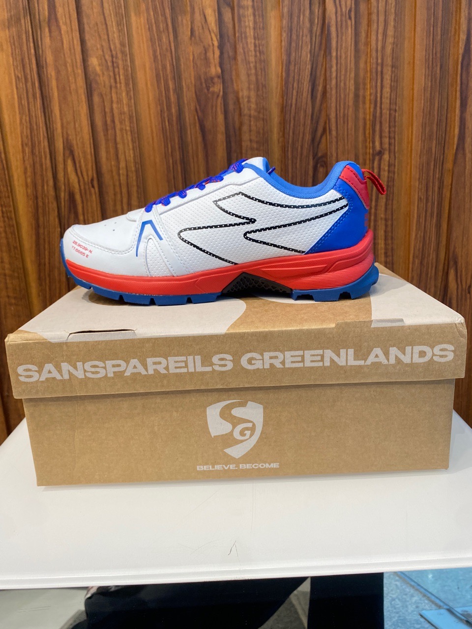 SG Cricket Shoes view 2