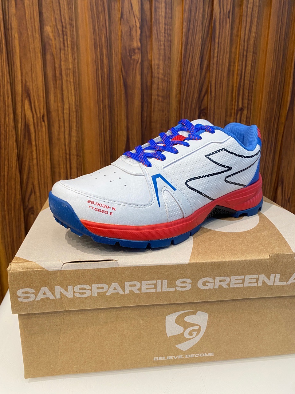 SG Cricket Shoes view 3