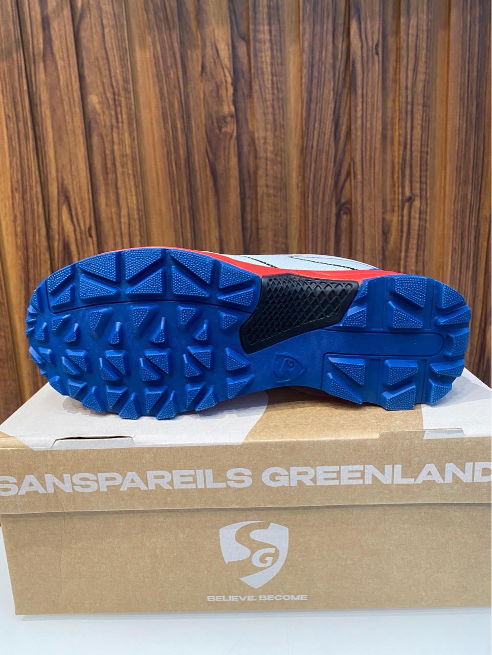SG Cricket Shoes view 4